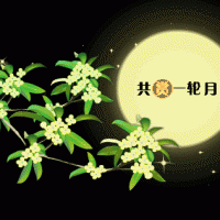 奧邦|遙望月將圓，顧家正當時
